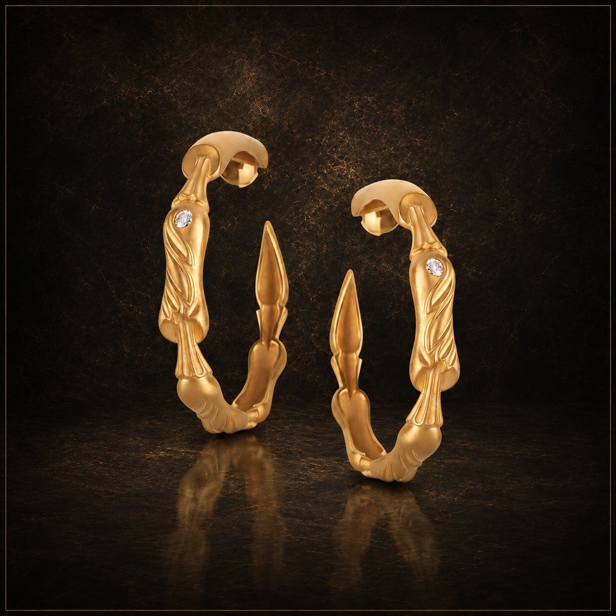 Anneaux Earrings